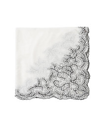 Mini Delizia 詳細画像