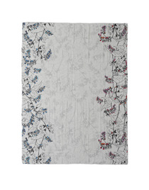 Isabella 詳細画像