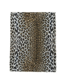 Maculata 詳細画像