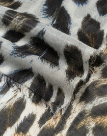 Maculata 詳細画像