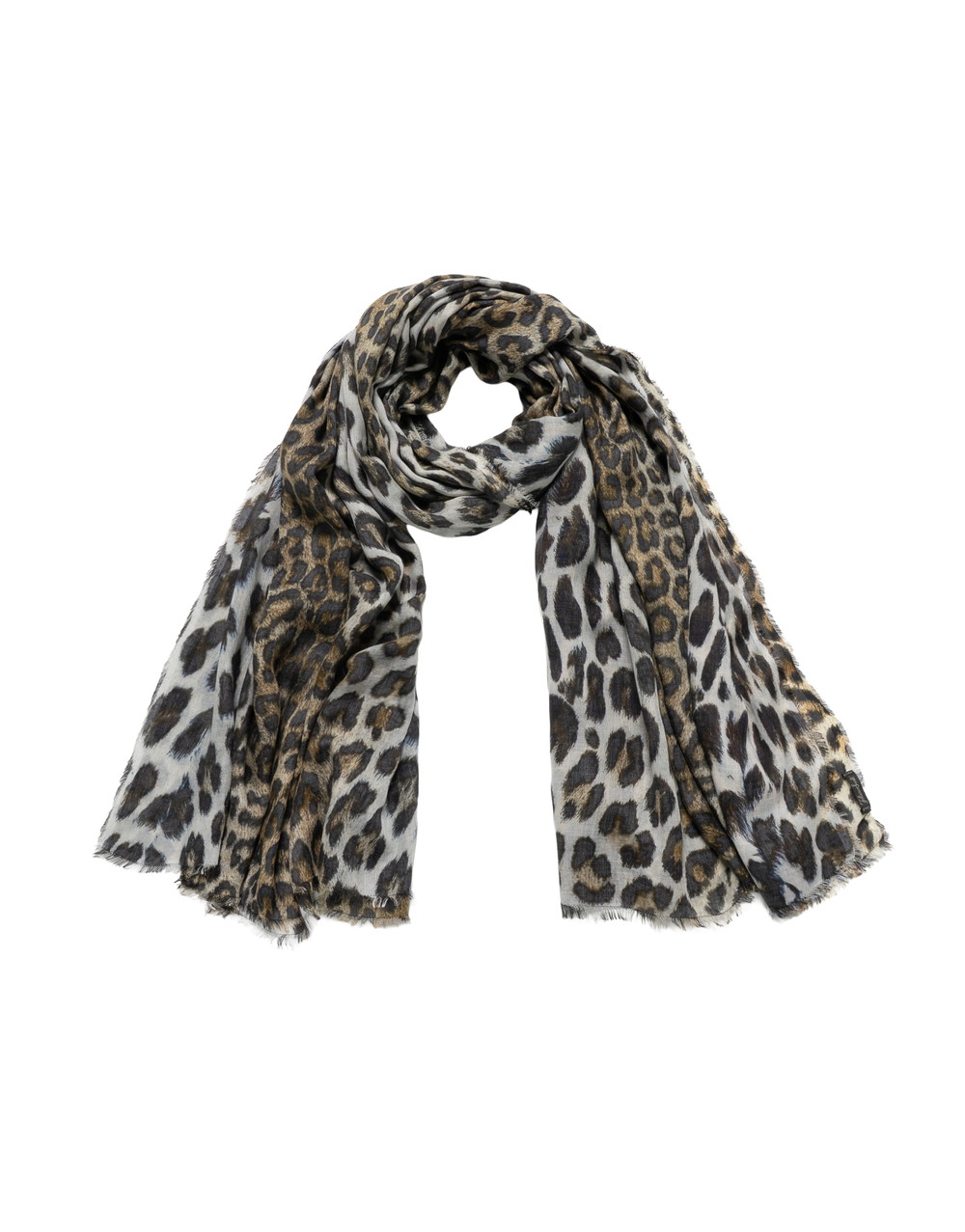 Maculata 詳細画像 84152 5