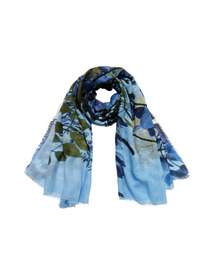 Glicine 詳細画像