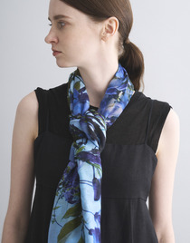 Glicine 詳細画像